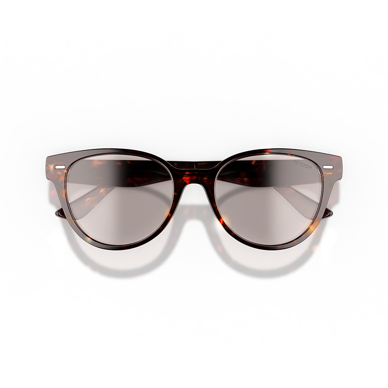 Catnap Tortoise Frames with All-Day Lenses