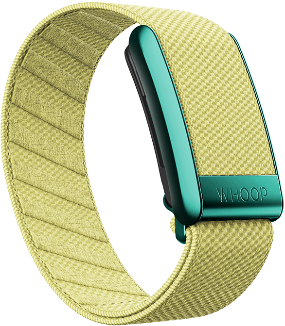 Daffodil SuperKnit Band