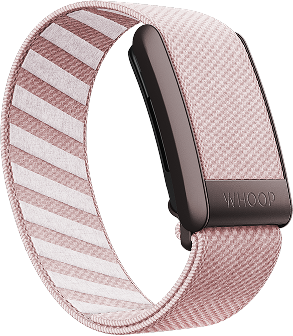 Dawn SuperKnit Band
