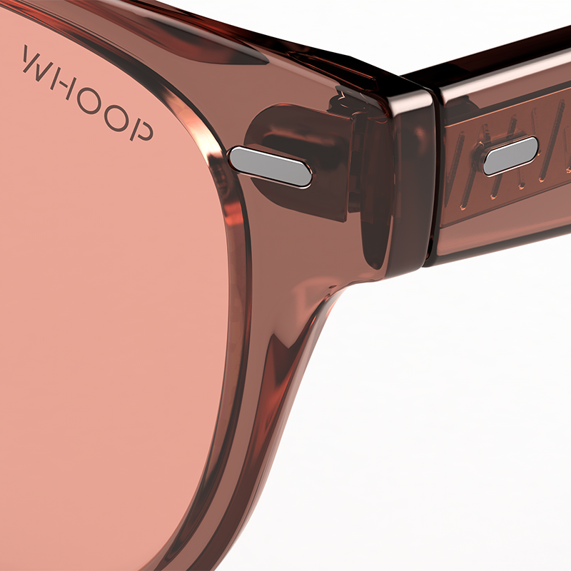 Catnap Eclipse Frames with Evening Lenses