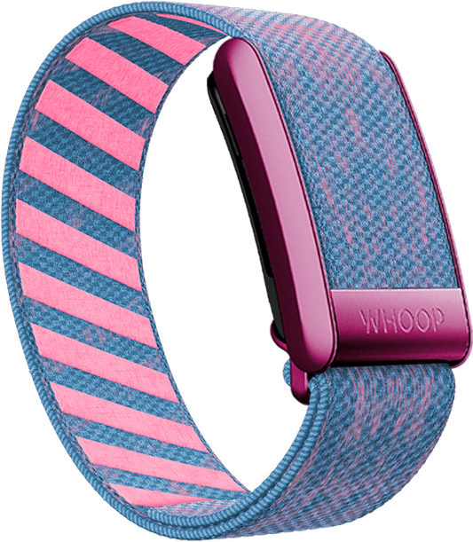 Miami SuperKnit Band