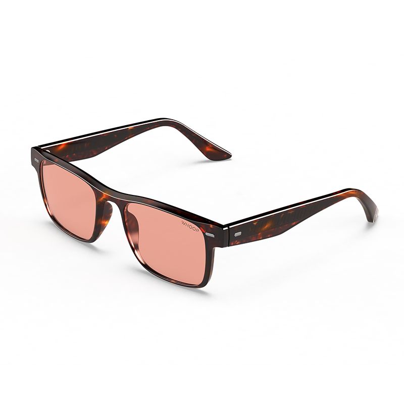 Remy Tortoise Frames with Evening Lenses
