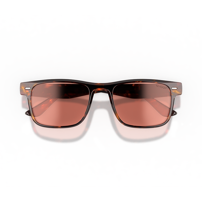 Remy Tortoise Frames with Evening Lenses