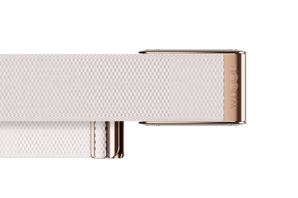 Champagne with Rose Gold Crystal Luxe Band