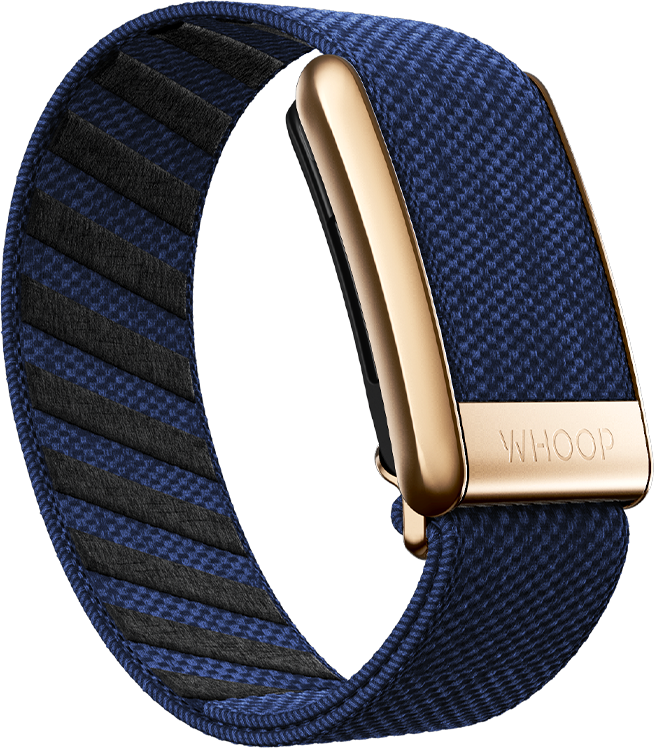Midnight with Rose Gold SuperKnit Luxe Band