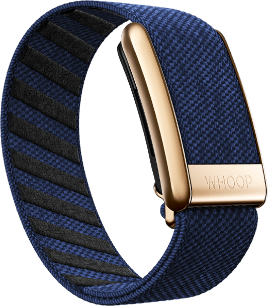 Midnight with Rose Gold SuperKnit Luxe Band