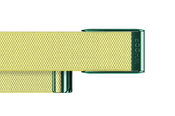Daffodil SuperKnit Band