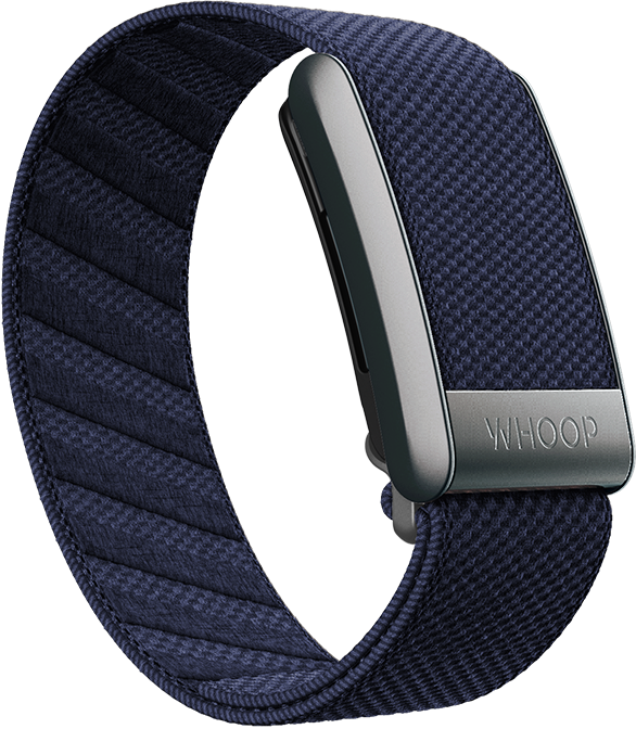 Blue Jay Supernit Band