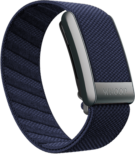 Blue Jay Supernit Band