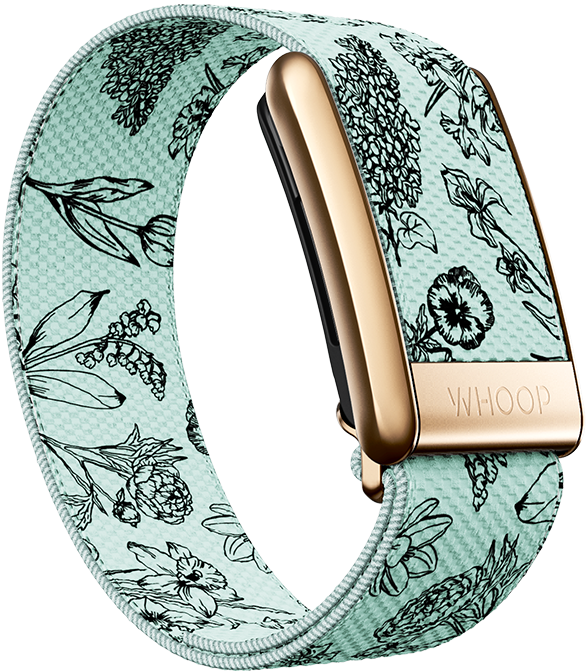 Bouquet Superknit Luxe Band