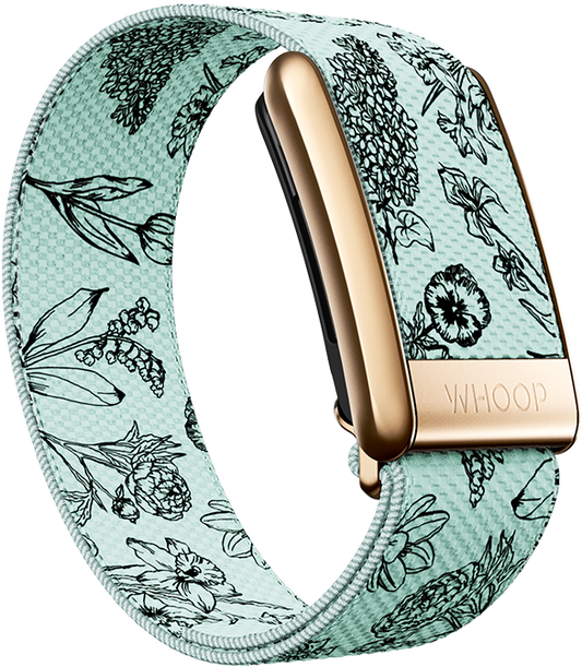 Bouquet Superknit Luxe Band