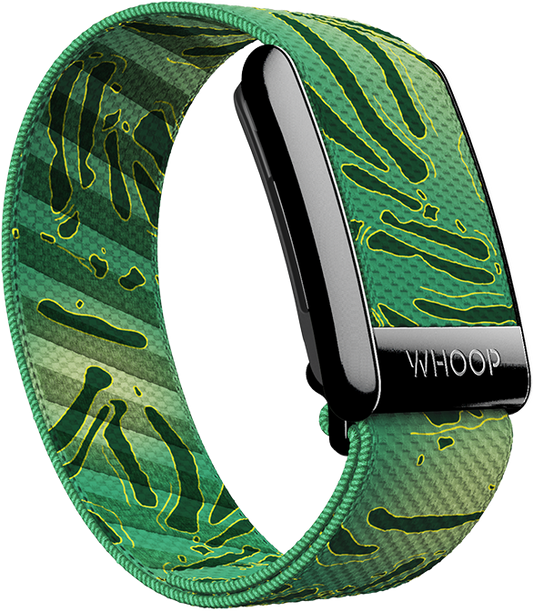 Caddy Superknit Band
