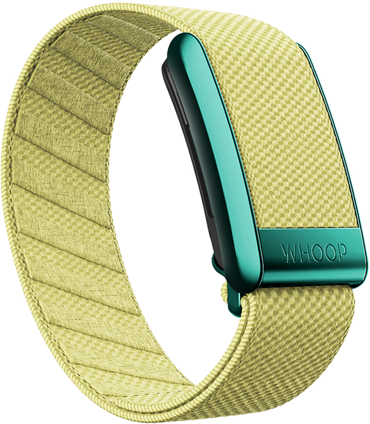 Daffodil SuperKnit Band