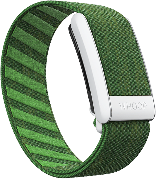 Fairway Superknit Band