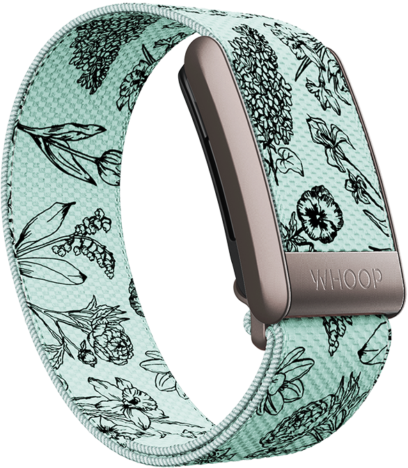 Garden SuperKnit Band