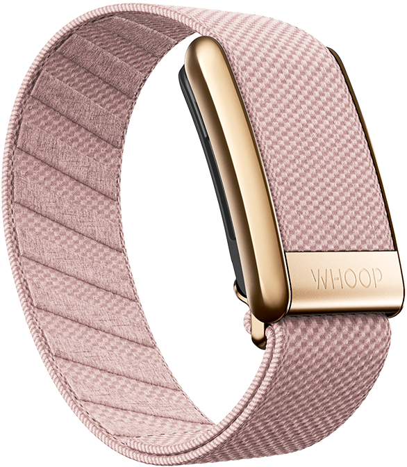RoseBud Superknit Luxe Band