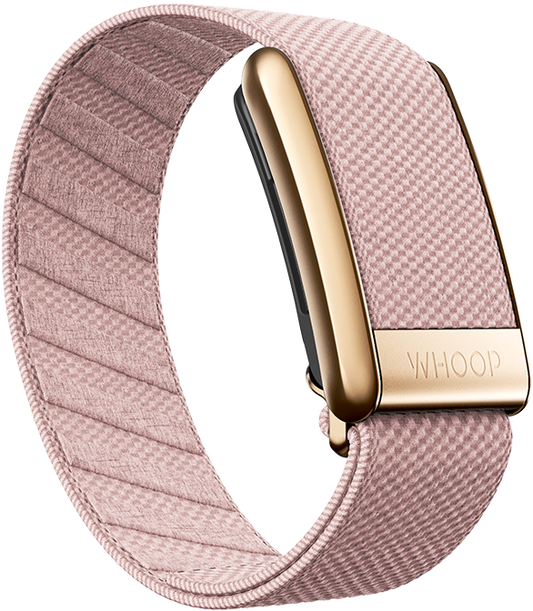 RoseBud Superknit Luxe Band