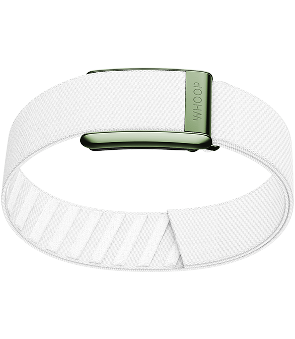 Putting Green Superknit Bicep Band
