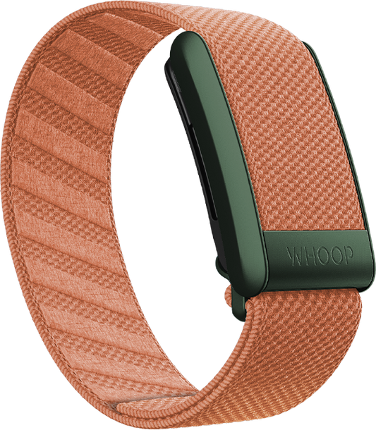Autumn SuperKnit Band
