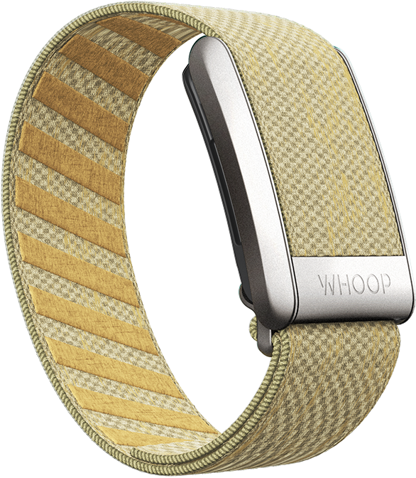 Buttercup SuperKnit Band