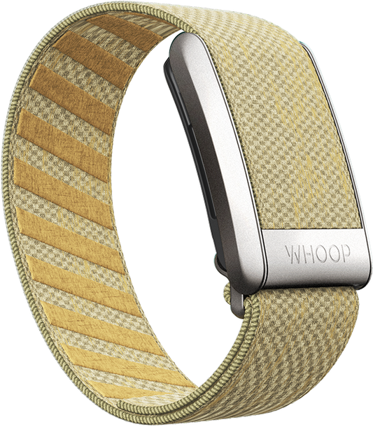 Buttercup SuperKnit Band