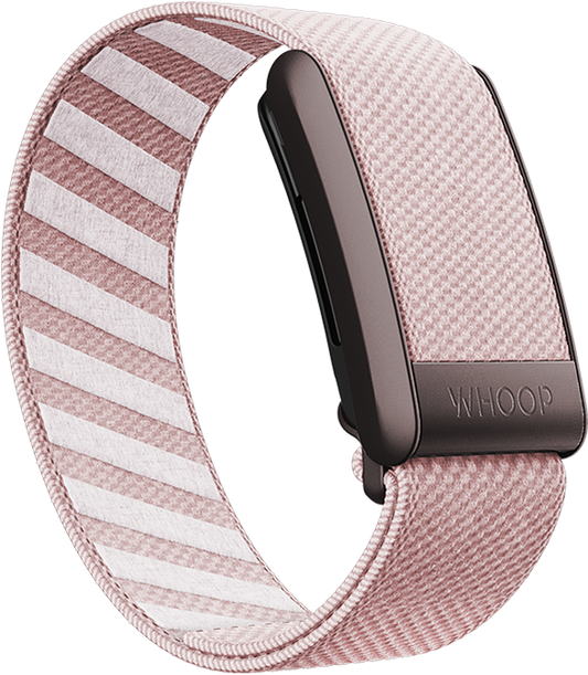 Dawn SuperKnit Band