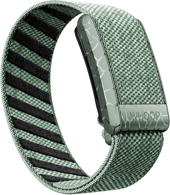 Electric Sage SuperKnit Band