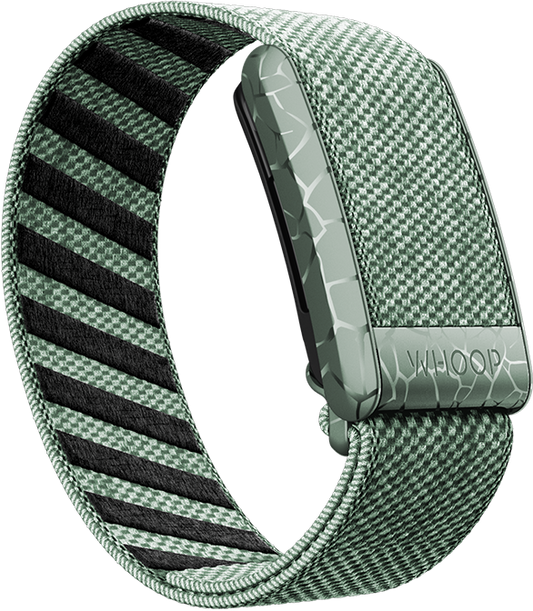 Electric Sage SuperKnit Band