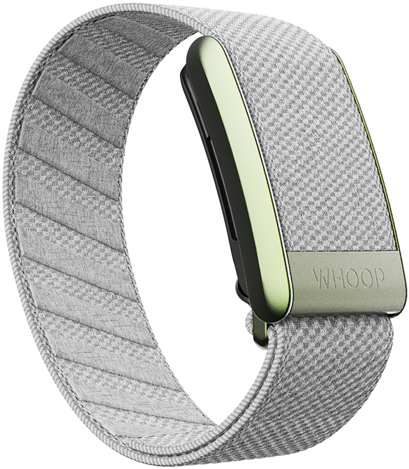 Koala SuperKnit Band