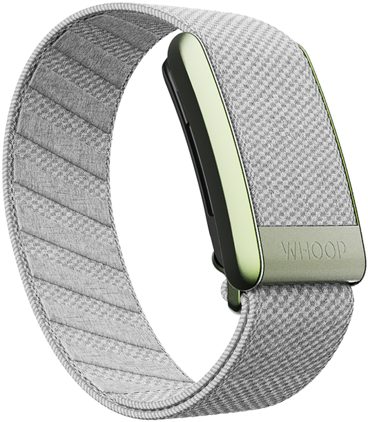 Koala SuperKnit Band