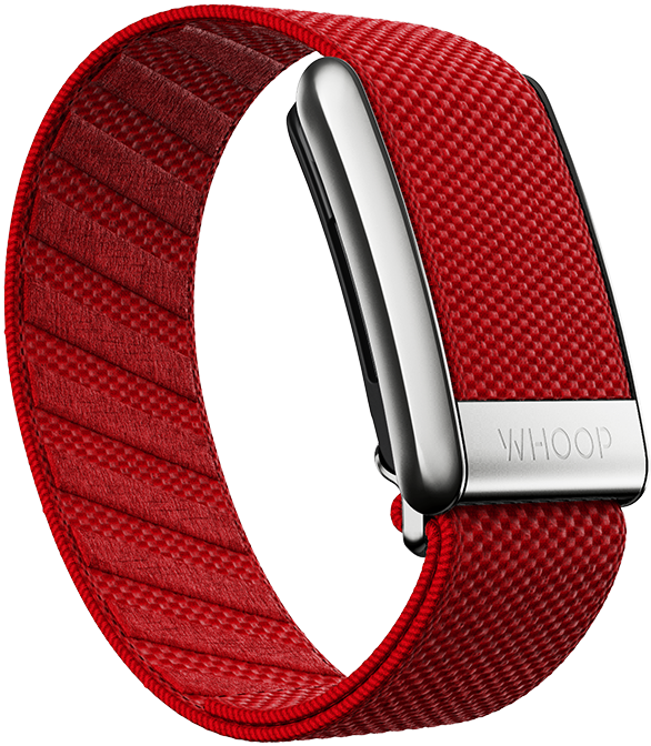 Cranberry with Platinum SuperKnit Luxe Band