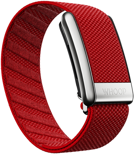 Cranberry with Platinum SuperKnit Luxe Band