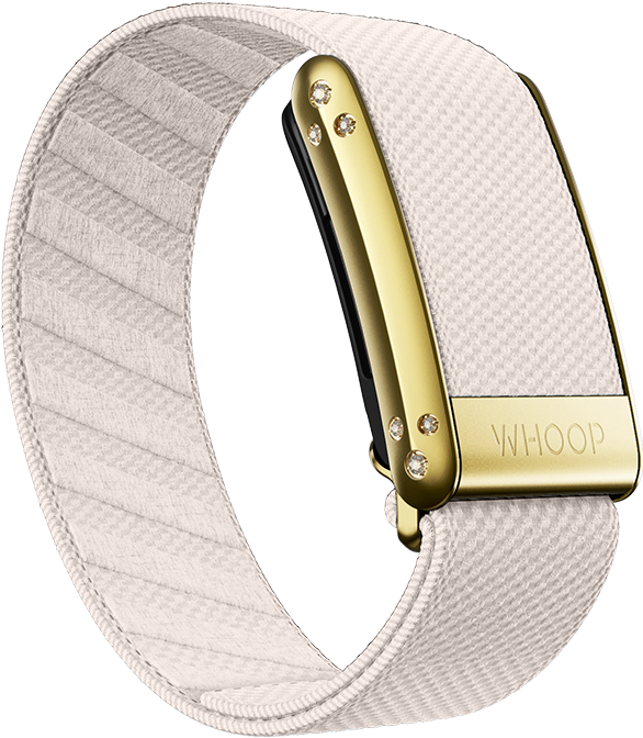Champagne with Gold Crystal Luxe Band