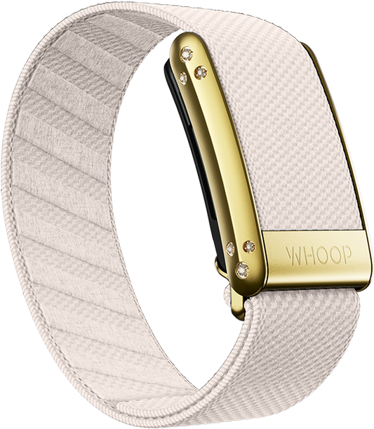 Champagne with Gold Crystal Luxe Band