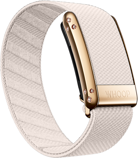 Champagne with Rose Gold Crystal Luxe Band
