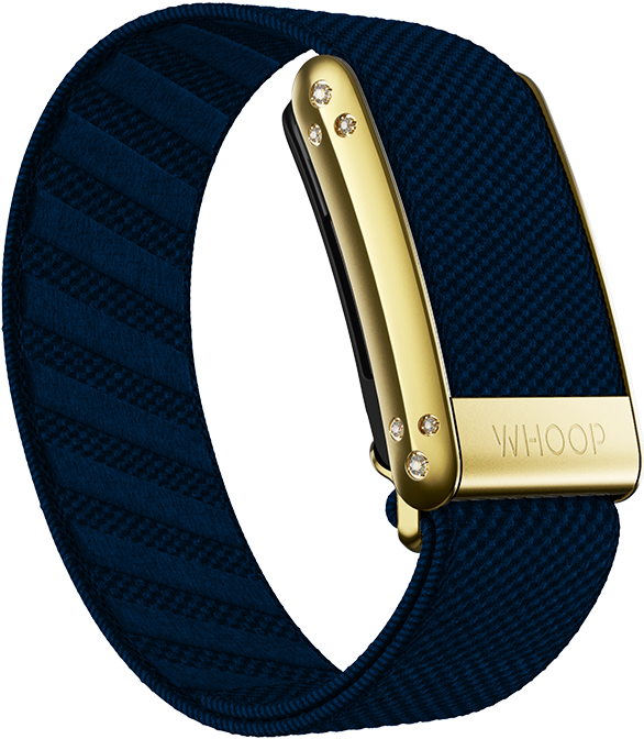 Niagara with Gold Crystal Luxe Band
