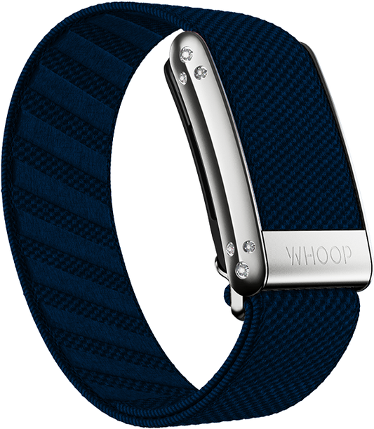 Niagara with Platinum Crystal Luxe Band