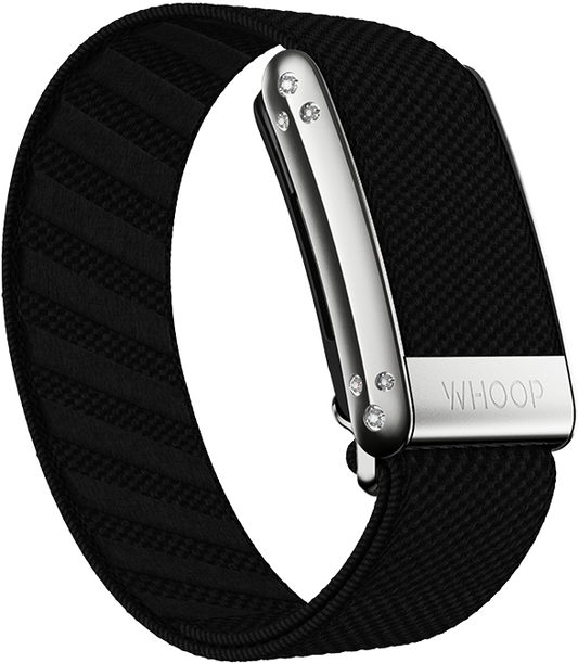 Onyx with Platinum Crystal Luxe Band
