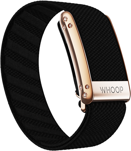 Onyx with Rose Gold Crystal Luxe Band