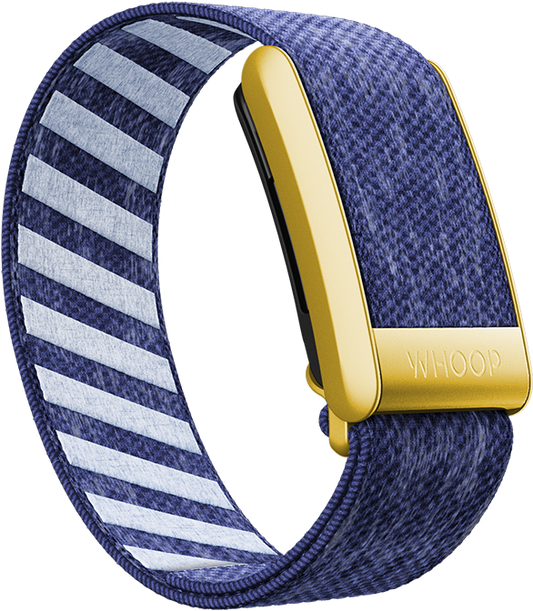 Nautilus with Gold SuperKnit Luxe Band