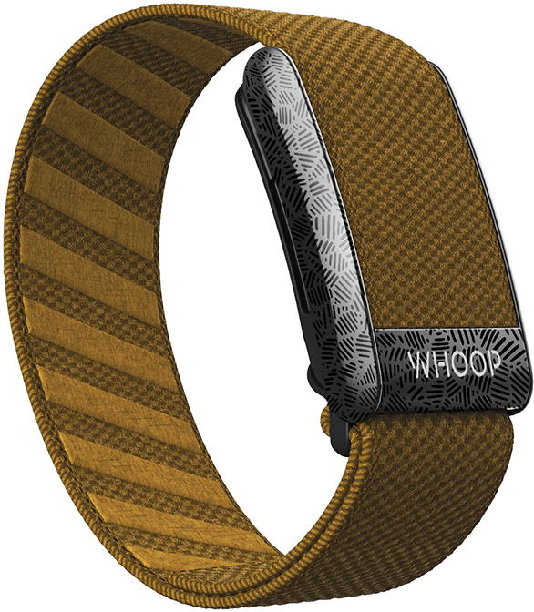 Oak SuperKnit Band