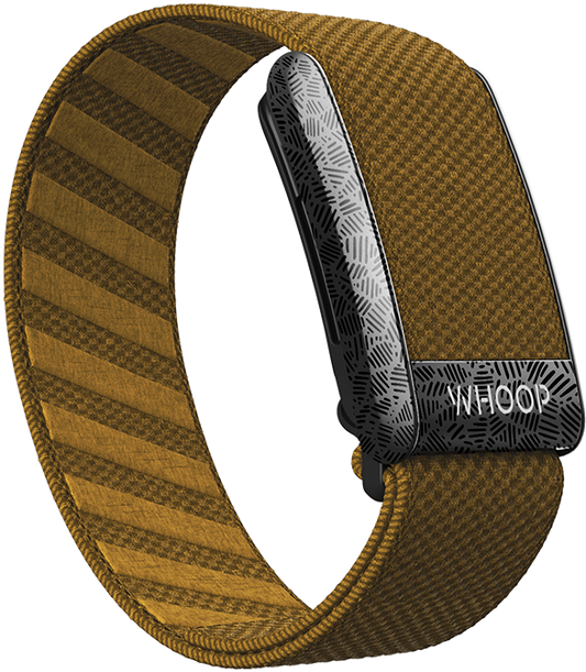 Oak SuperKnit Band