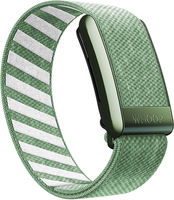 Putting Green SuperKnit Band