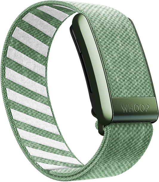 Putting Green SuperKnit Band
