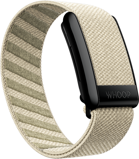 Carbon SuperKnit Band