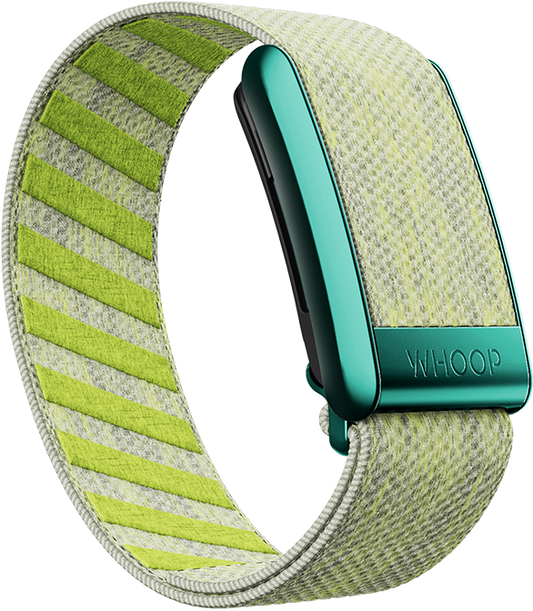 Yuzu SuperKnit Band