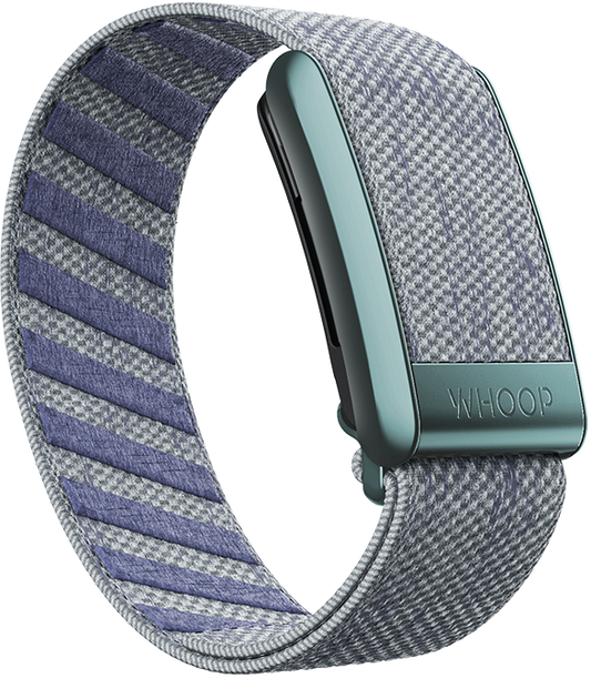 Dad Jeans Superknit Band