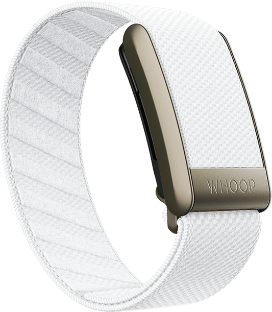 Ivory SuperKnit Band