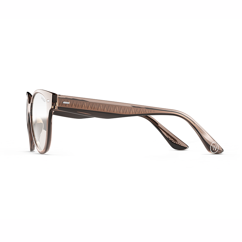 Catnap Dusk Frames with All-Day Lenses