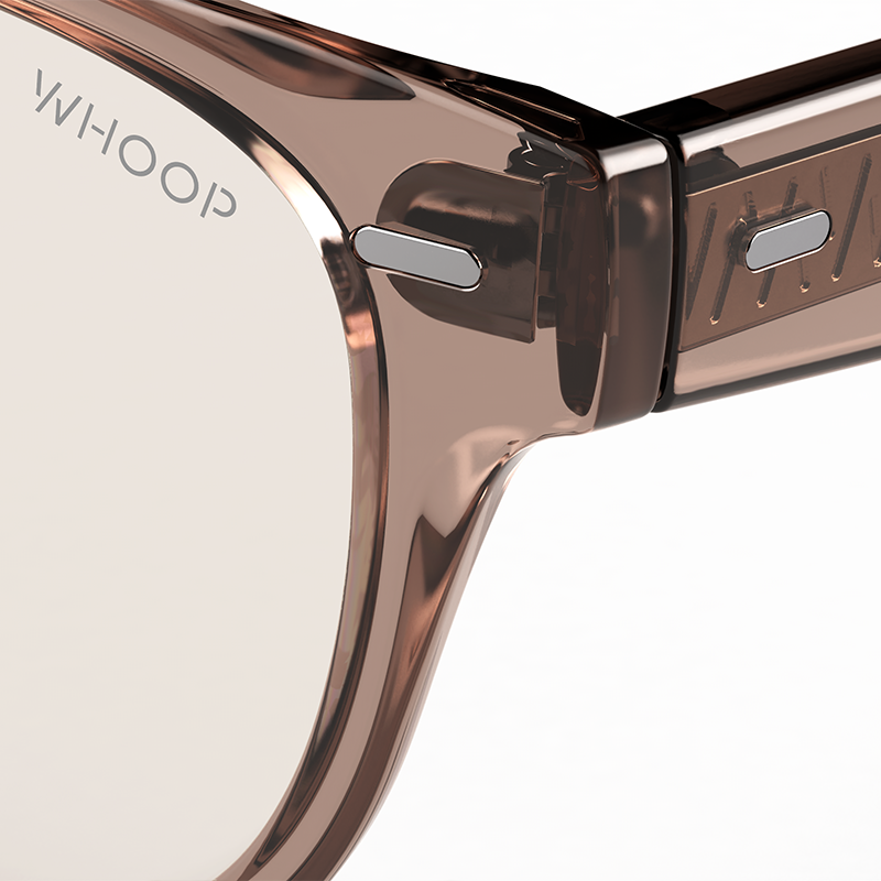 Catnap Dusk Frames with All-Day Lenses